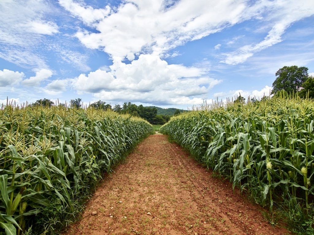 agriculture tours in indiana